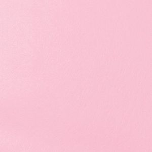 Meet your Posher, Leilani